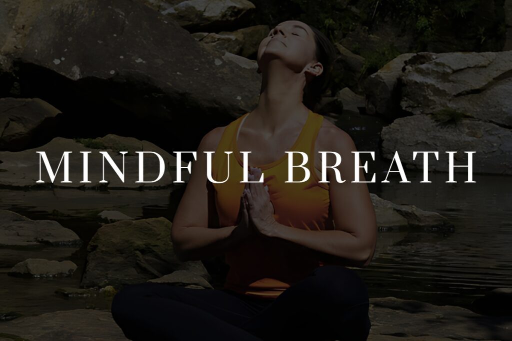 a photo of jane hart taking a moment for mindful breath amongst a waterfall in greenville, sc with the words "mindful breath" over the top